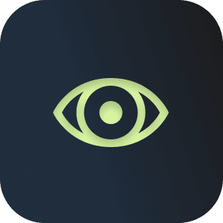 Icon insights eye