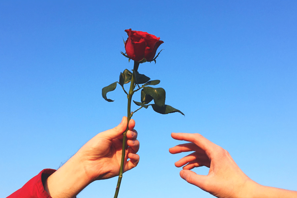 Geschenkte Rosen führen zu Schuldgefühlen